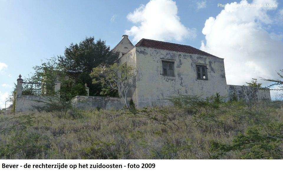 31. Bever rechterzijde op het zuidoosten 2009